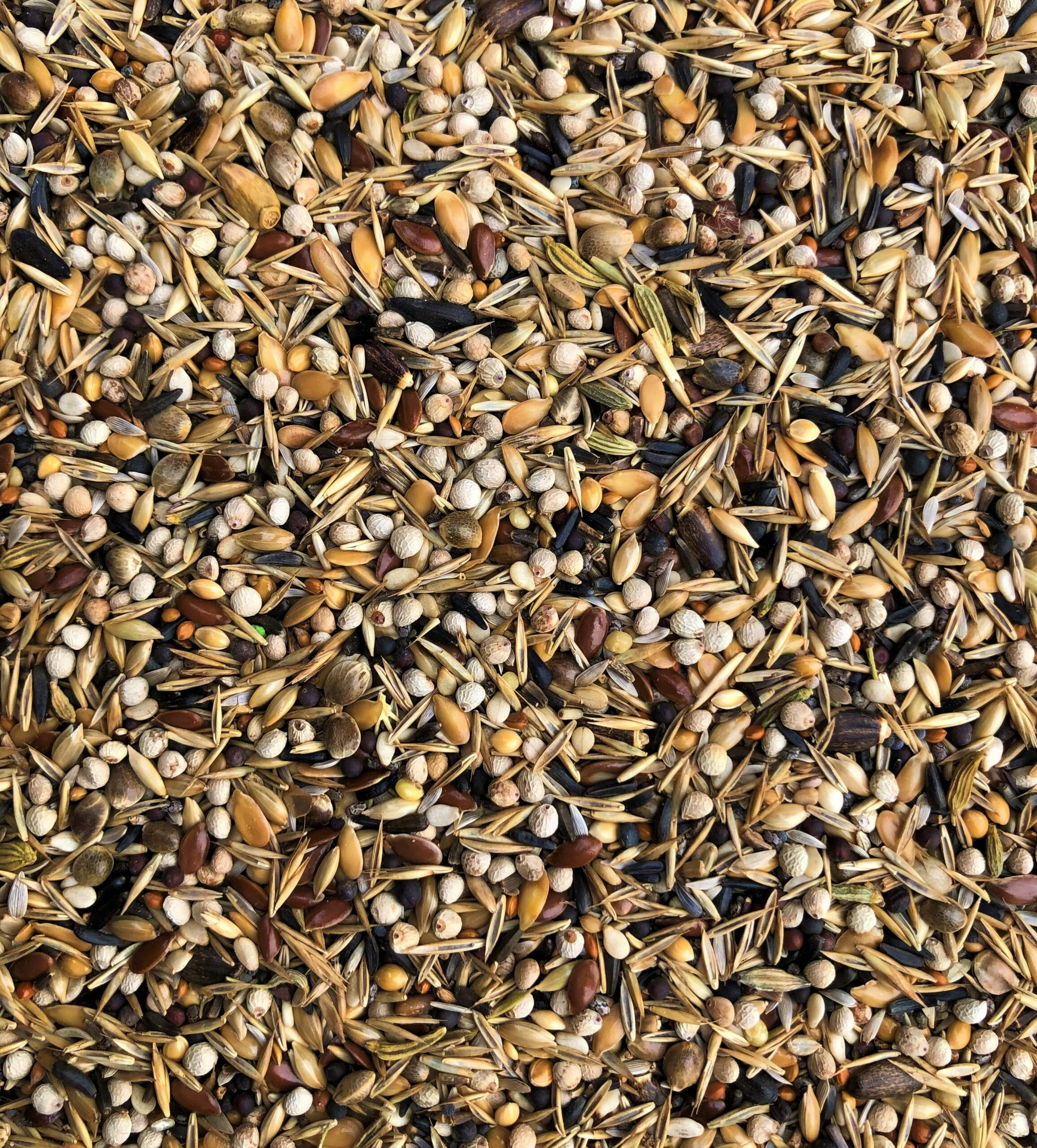 GOLDFINCH PREMIUM GOLDFINCH PREMIUM