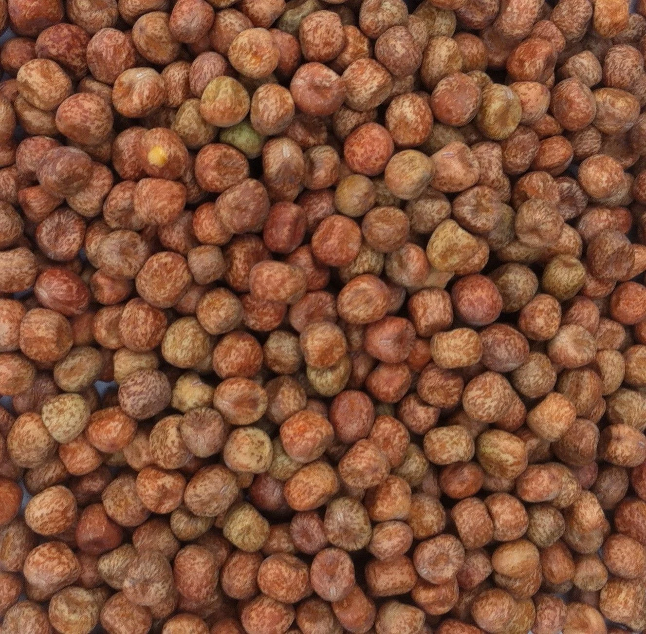 MAPLE-PEAS