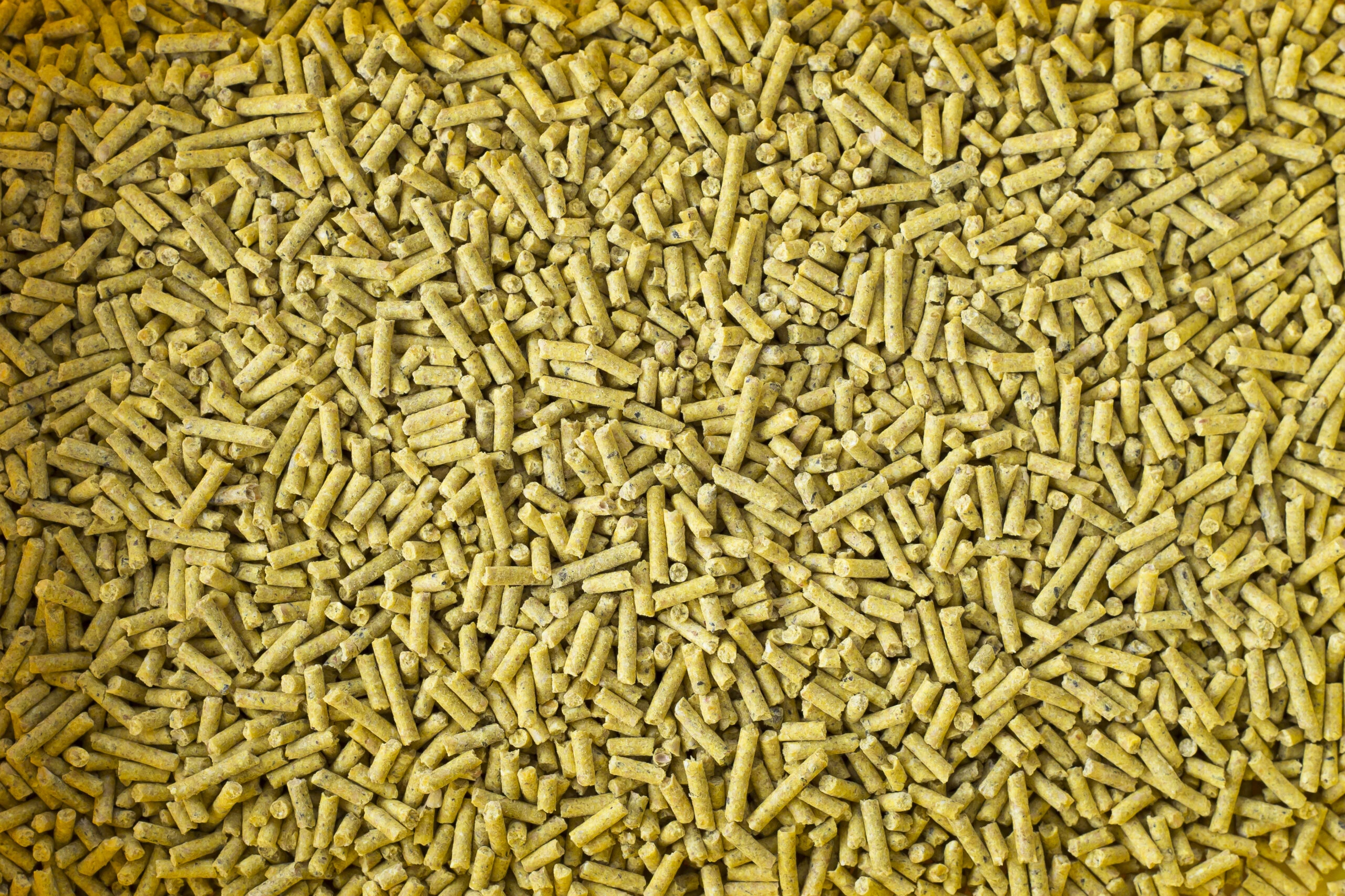 PELLET Y PELLET Y