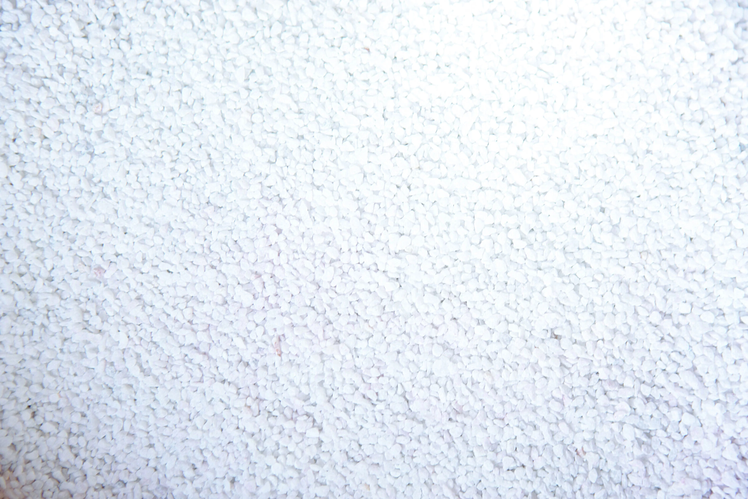 Calcium_Stone PIGEON CALCIUM STONE