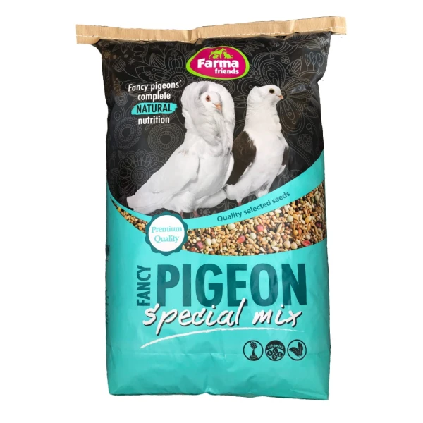 PIGEON FANCY