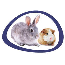 RODENTS - Farma Friends